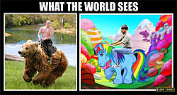 Click image for larger version. 

Name:	obama-v-putin.jpg 
Views:	8 
Size:	84.5 KB 
ID:	80610