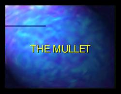 TheMullet.pdf