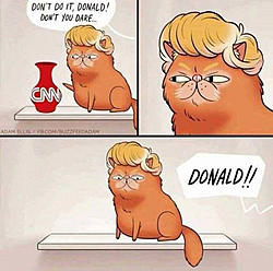 Click image for larger version. 

Name:	donald-the-cat-cnn.jpg 
Views:	3 
Size:	56.5 KB 
ID:	83661