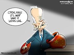 Click image for larger version. 

Name:	biden chinesecookie.jpg 
Views:	2 
Size:	64.8 KB 
ID:	93772