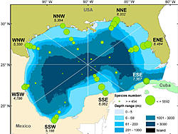 Click image for larger version. 

Name:	Gulf of Mexico Map 2-001.jpg 
Views:	6 
Size:	121.1 KB 
ID:	85437