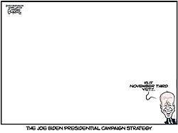 Click image for larger version. 

Name:	biden campaign strategy.jpg 
Views:	5 
Size:	15.0 KB 
ID:	88401