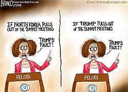 Click image for larger version. 

Name:	pelosi on korea.jpg 
Views:	2 
Size:	193.4 KB 
ID:	85345