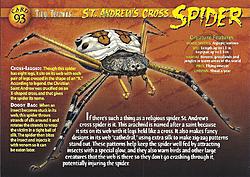 Click image for larger version. 

Name:	St__Andrew's_Cross_Spider_front.jpg 
Views:	4 
Size:	462.5 KB 
ID:	84491