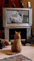 Click image for larger version. 

Name:	bobcat porn.gif 
Views:	2 
Size:	766.6 KB 
ID:	84084
