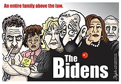 Click image for larger version. 

Name:	bidens lawless.jpg 
Views:	2 
Size:	75.7 KB 
ID:	93817