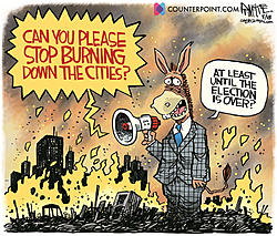 Click image for larger version. 

Name:	dems burn cities.jpg 
Views:	2 
Size:	198.9 KB 
ID:	88412