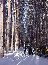 sled08 038.jpg