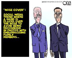 Click image for larger version. 

Name:	bidens nose cover.jpg 
Views:	5 
Size:	66.1 KB 
ID:	95088