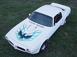 73 Trans Am 009.jpg