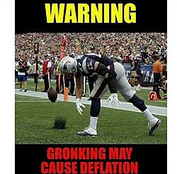 Click image for larger version. 

Name:	gronk.jpg 
Views:	0 
Size:	61.7 KB 
ID:	79490
