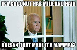 Click image for larger version. 

Name:	joe-biden-coconut.jpg 
Views:	0 
Size:	30.8 KB 
ID:	84512