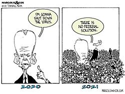Click image for larger version. 

Name:	biden covid solution.jpg 
Views:	5 
Size:	55.2 KB 
ID:	91836
