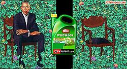 Click image for larger version. 

Name:	weedkiller.jpg 
Views:	6 
Size:	92.2 KB 
ID:	85030