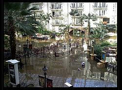 opryland2.jpg