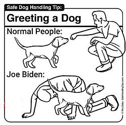 Click image for larger version. 

Name:	biden dog handler.jpg 
Views:	0 
Size:	30.4 KB 
ID:	88930