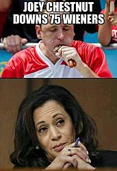 Click image for larger version. 

Name:	joey-chestnut-kamala-harris-.jpg 
Views:	3 
Size:	35.9 KB 
ID:	88266