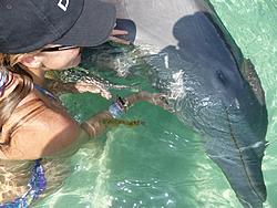 Click image for larger version. 

Name:	roatan5.jpg 
Views:	22 
Size:	108.8 KB 
ID:	73367