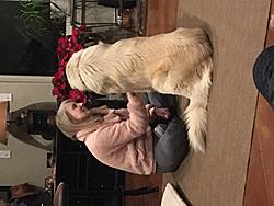 Click image for larger version. 

Name:	AMy and Chief.JPG 
Views:	4 
Size:	1.30 MB 
ID:	89276