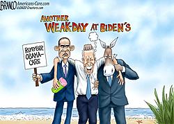 Click image for larger version. 

Name:	bidens weekday.jpg 
Views:	4 
Size:	55.7 KB 
ID:	92318