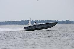 Doc on the Bay 2009.jpg