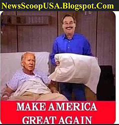 Click image for larger version. 

Name:	biden-joe-mr-pillow.jpg 
Views:	0 
Size:	109.9 KB 
ID:	94155