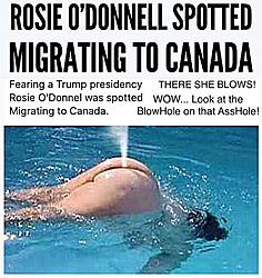 Click image for larger version. 

Name:	Rosie Migrate.jpg 
Views:	2 
Size:	135.2 KB 
ID:	81784